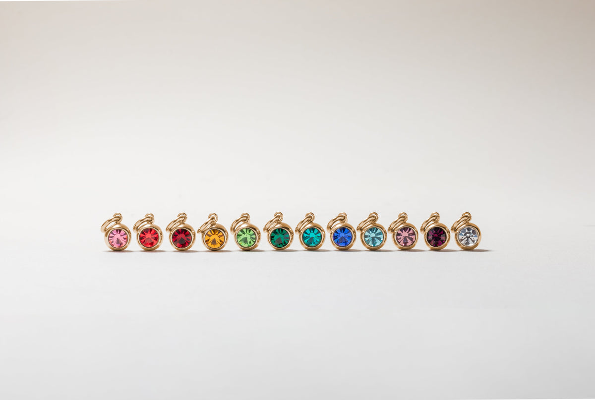 February Birthstone Interchangeable Charm
