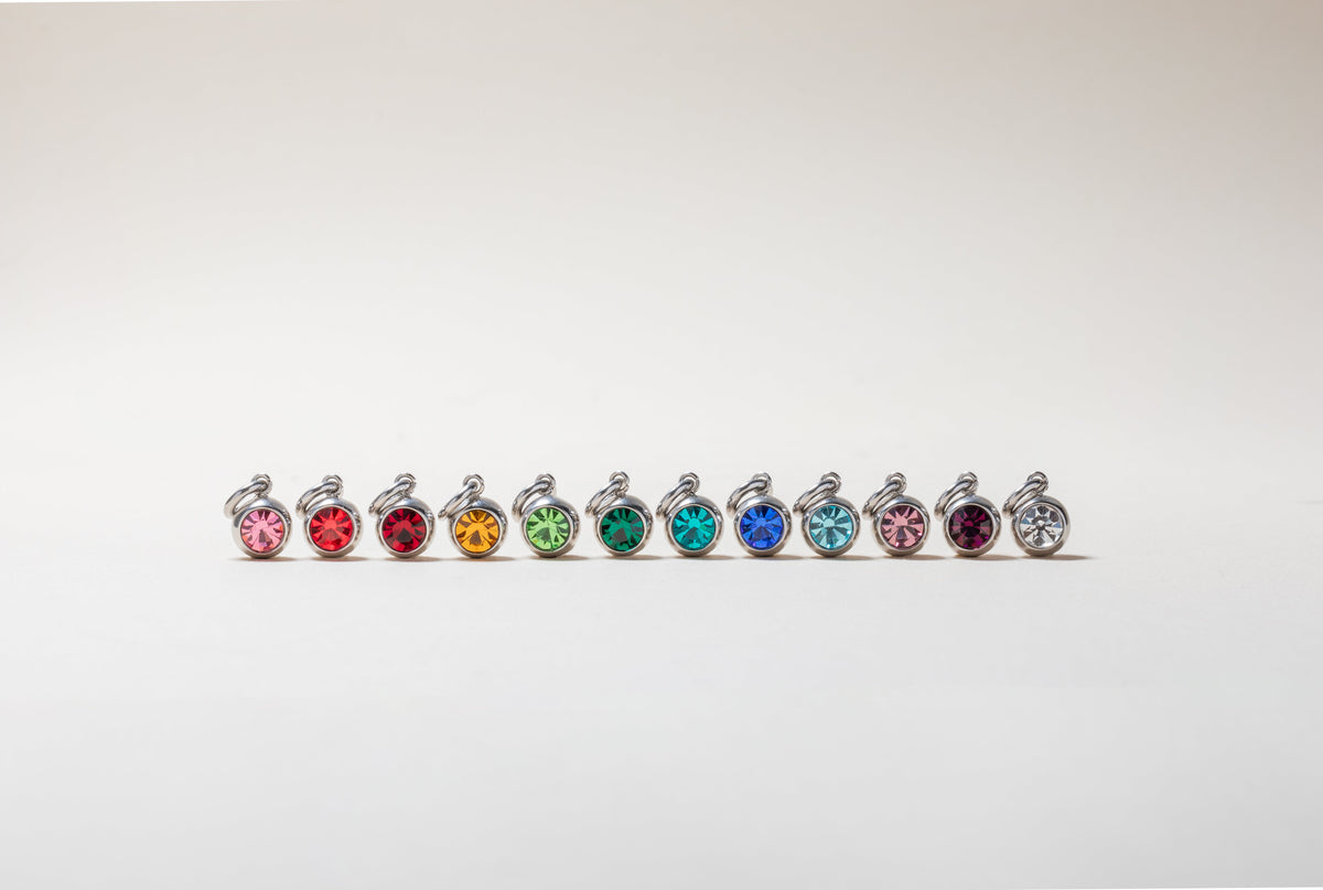 July Birthstone Interchangeable Charm