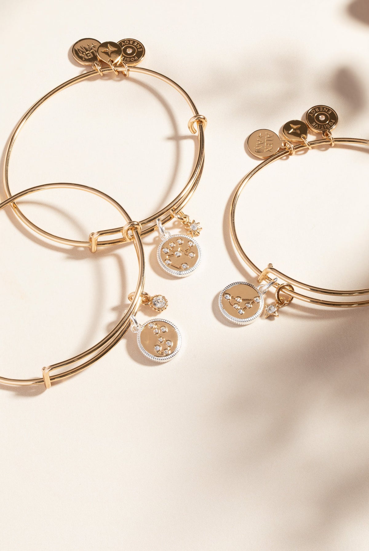 Scorpio Zodiac Charm Bangle