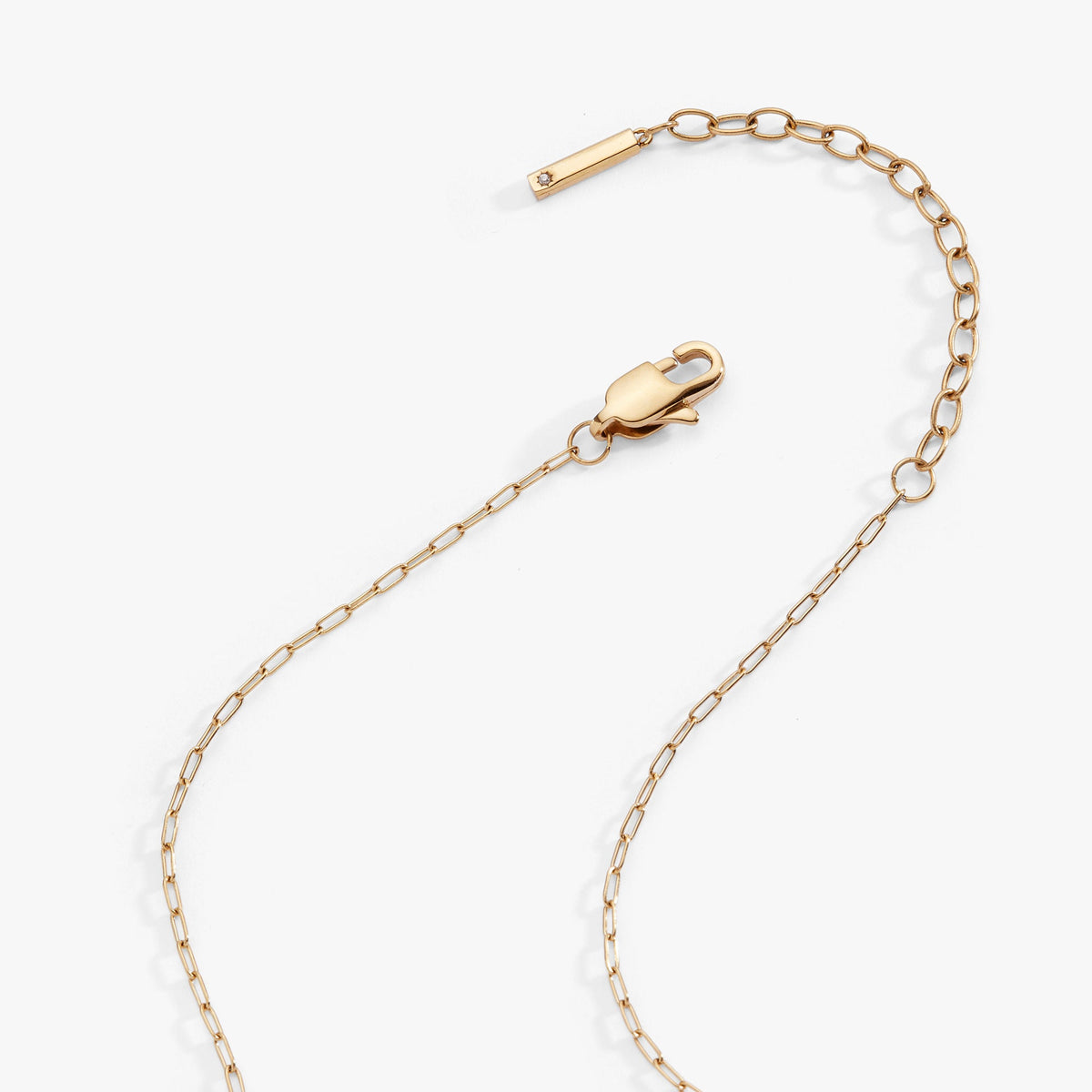 Capricorn Zodiac Charm Cluster Necklace